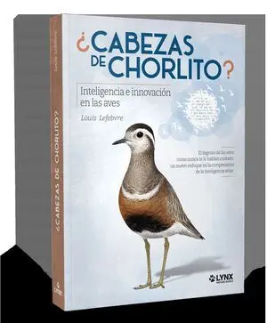 Cabezas de Chorlito Inteligencia e Innovacion en las Aves