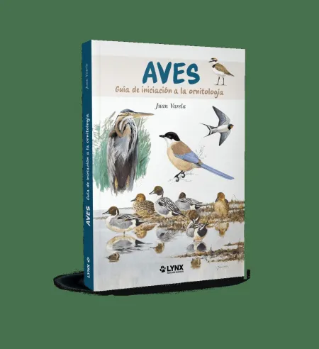 Aves
