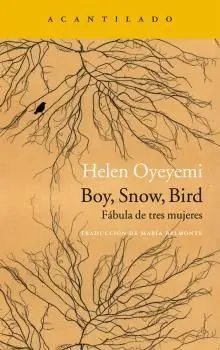 Boy Snow Bird