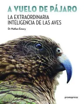 A Vuelo de Pajaro