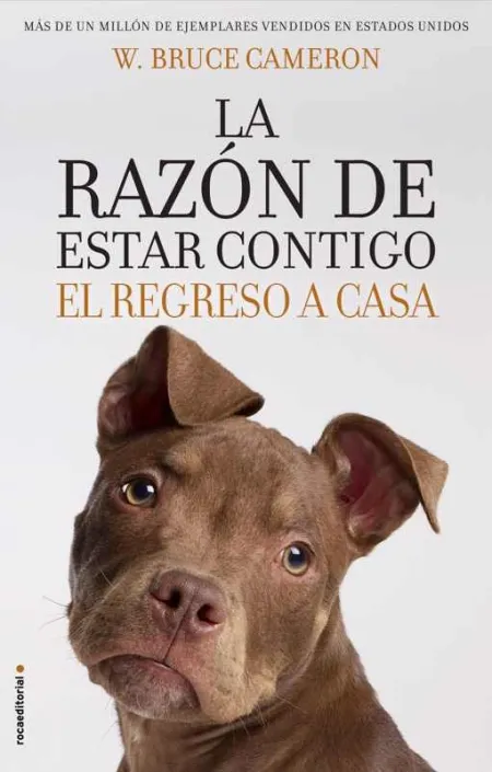 La Razon de Estar Contigo. El Regreso a Casa
