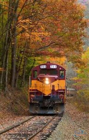 JUM HECHO DE OSCURIDAD. LAS HISTORIAS DE OLGA DE PAPEL