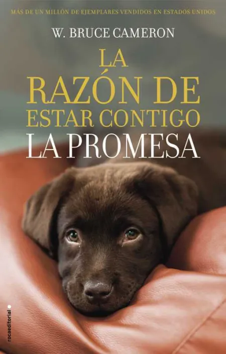La Razón de Estar Contigo. La Promesa