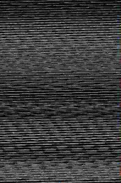 Si me Ladras... te Muerdo