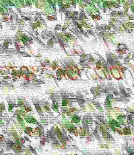 Plantita, la