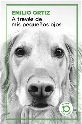 A Traves de Mis Pequeños Ojos