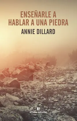 Enseñarle a Hablar a una Piedra