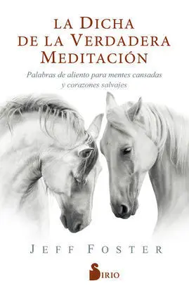 La Dicha de la Verdadera Meditación
