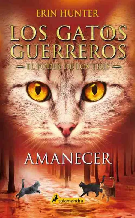 Amanecer (Warrior Cats 3-#6)