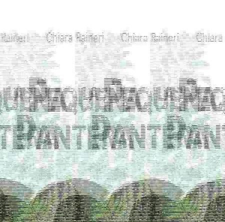 La PequeãA Pantera