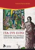 Ita Ius esto. Chequeo a la Tutela Efectiva Prometida