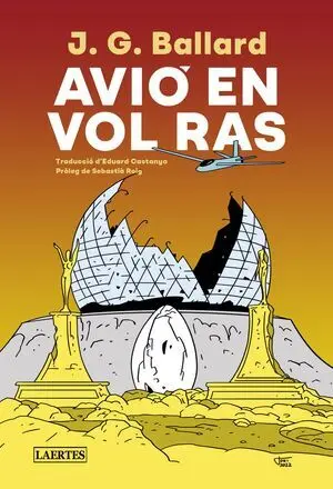 Avió en Vol Ras