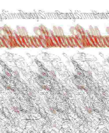 El Mundillo Literario