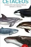Cetaceos