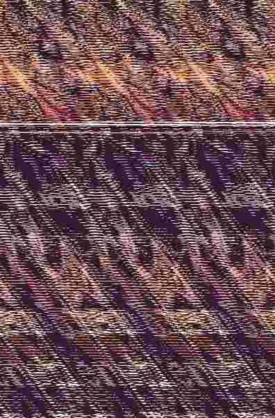 Las Flores Tambien Tienen Memoria