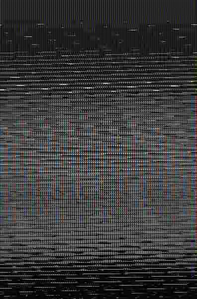 Cupido Lleva Pañal Porque Siempre la Caga