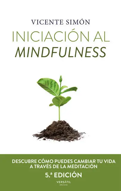 Iniciacón Al Mindfulness