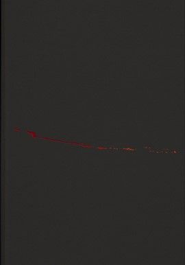 OCHENTA Y CINCO VISTAS.