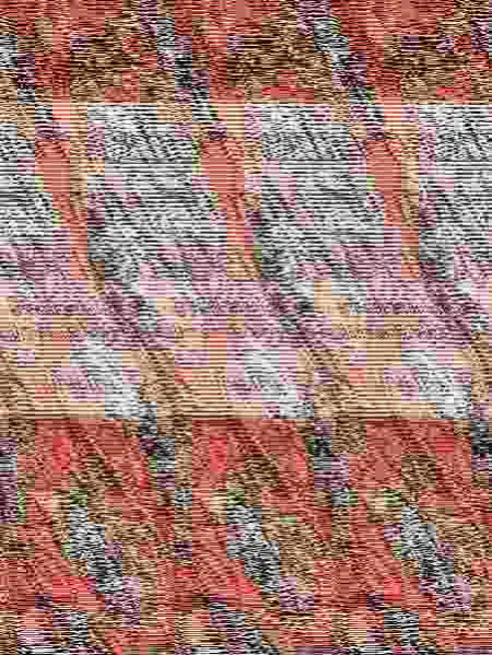 Belascoarán Shayne, Detective