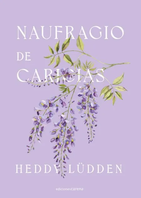 Naufragio de Caricias