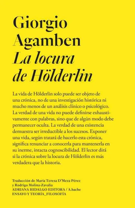La Locura de Hölderlin