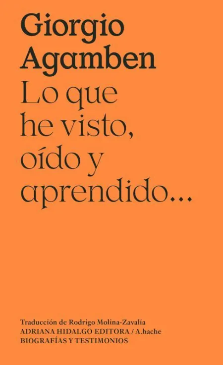 Lo que He Visto, Oído y Aprendido...