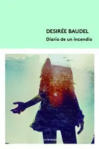 Diario de un Incendio