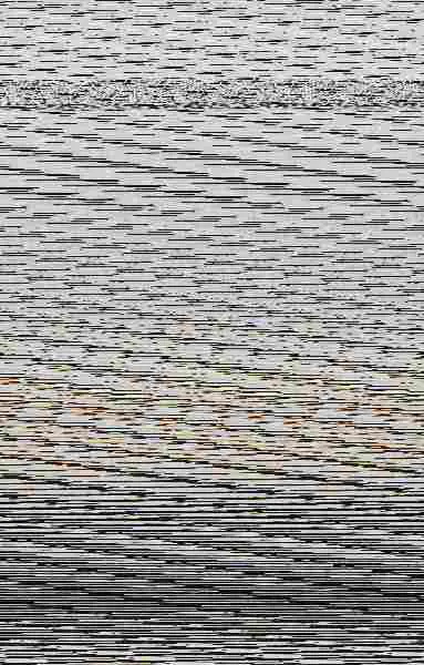 Brillo (La Prisionera de Oro 3)