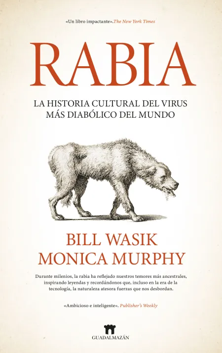 Rabia