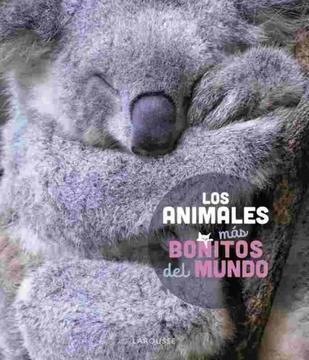 Los Animales Más Bonitos del Mundo
