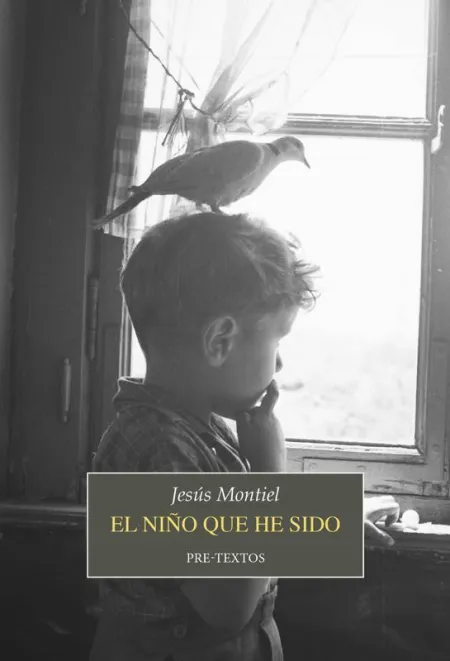 El Niño que He Sido