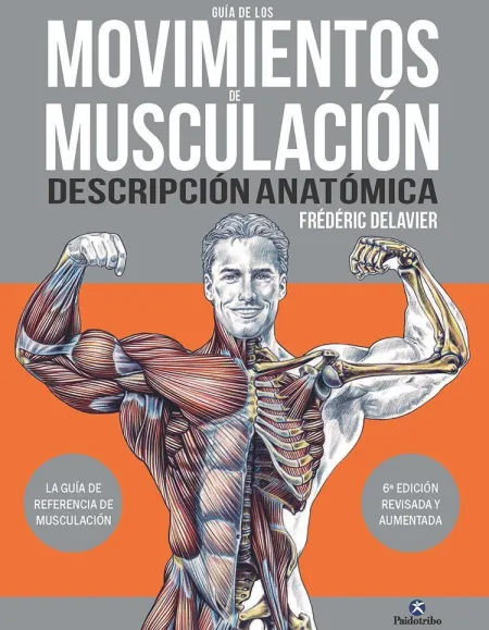 Guía de los Movimientos de Musculación. Descripción Anatómica