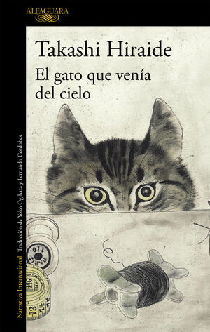 EL GATO QUE VENIA DEL CIELO
