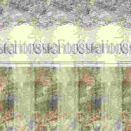 Cuentos de Foresta