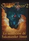 La Maldición de Salamander Street