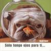 SOLO TENGO OJOS PARA TI ...
