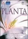 Grandes de Alhambra: Planta