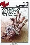Colmillo Blanco