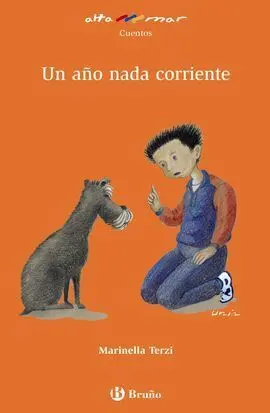 Un Año Nada Corriente