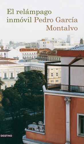 EL RELÁMPAGO INMÓVIL