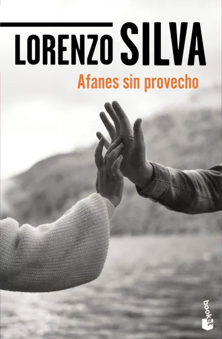 Afanes sin Provecho