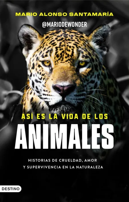 Así Es la Vida de los Animales