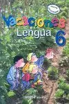 Vacaciones Lengua 6