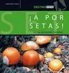 A por Setas!. Busca, Encuentra y Degusta