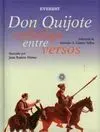 Don Quijote Cabalga entre Versos