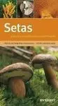 Setas. Guía Clara y Sencilla para Su Identificación