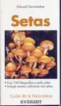 Setas