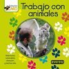 TRABAJO CON ANIMALES