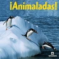 ANIMALADAS!