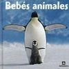 BEBÉS ANIMALES